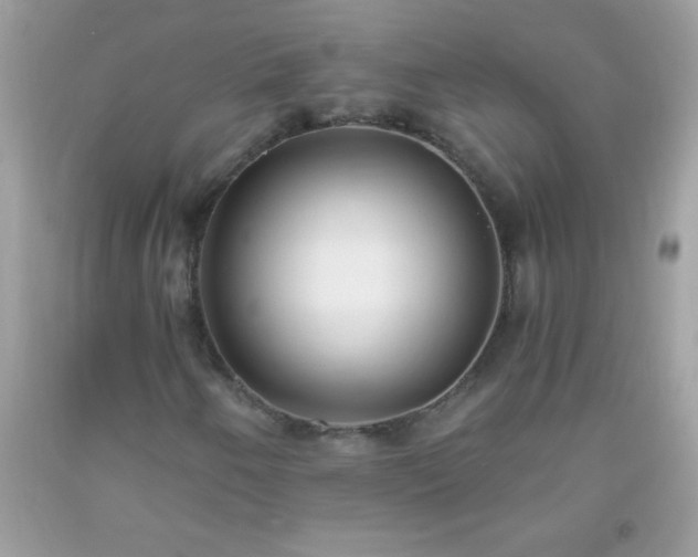 X0000093751250200710231225