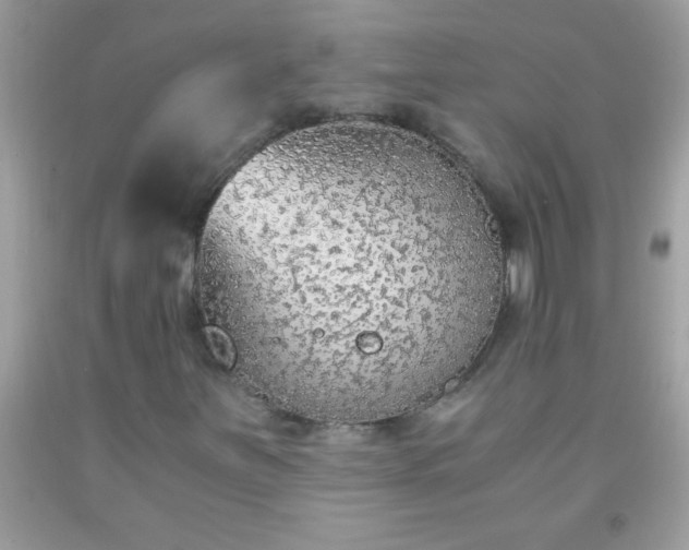 X0000093751251200710231225