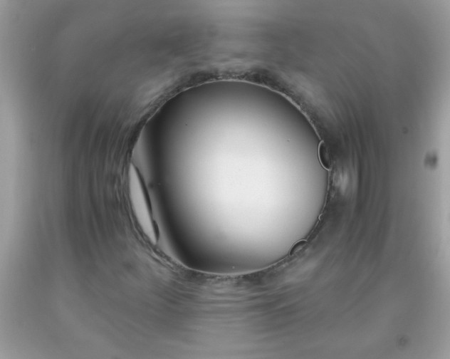 X0000093751252200710231225
