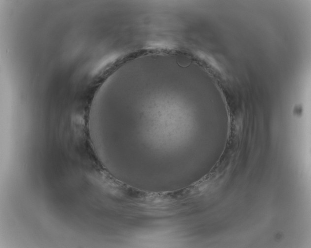 X0000093751254200710231225
