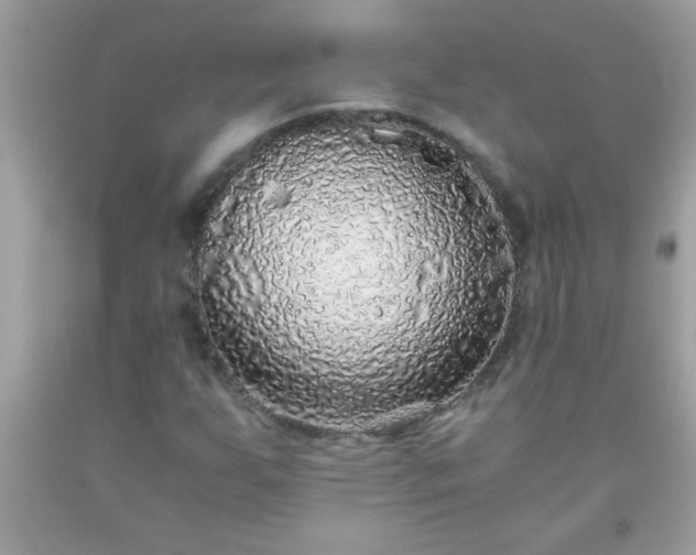 X0000093751255200710231225