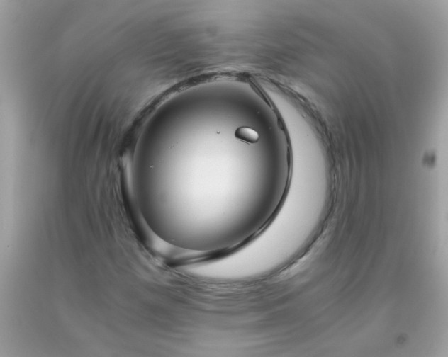 X0000093751257200710231225