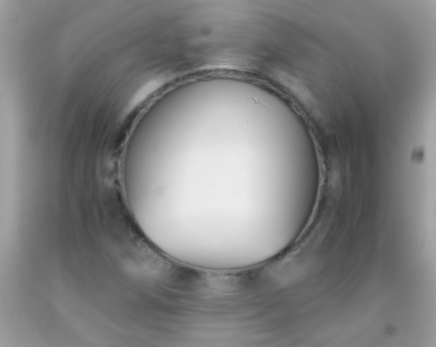 X0000093751258200710231225