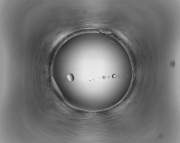 X0000093751259200710231225