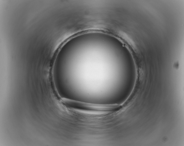 X0000093751260200710231225