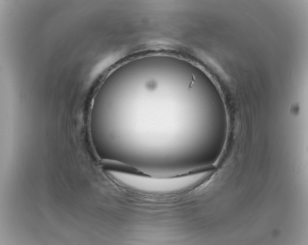 X0000093751261200710231225