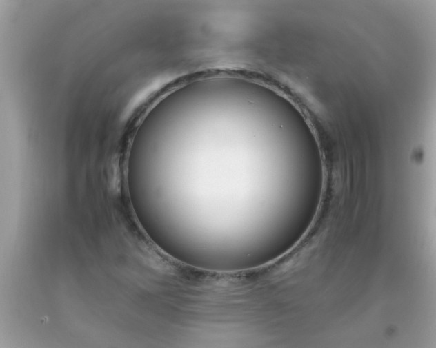 X0000093751262200710231225