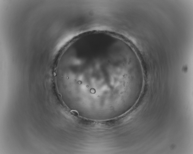 X0000093751263200710231225