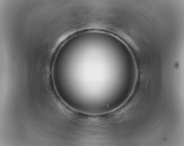 X0000093751264200710231225