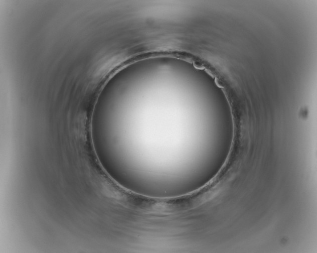 X0000093751265200710231225
