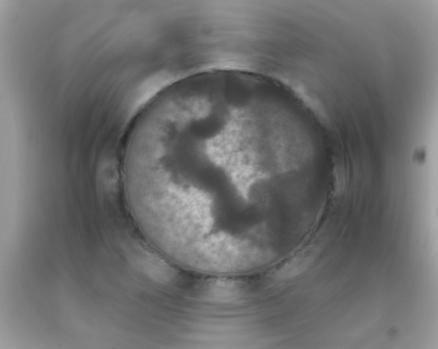 X0000093751266200710231225