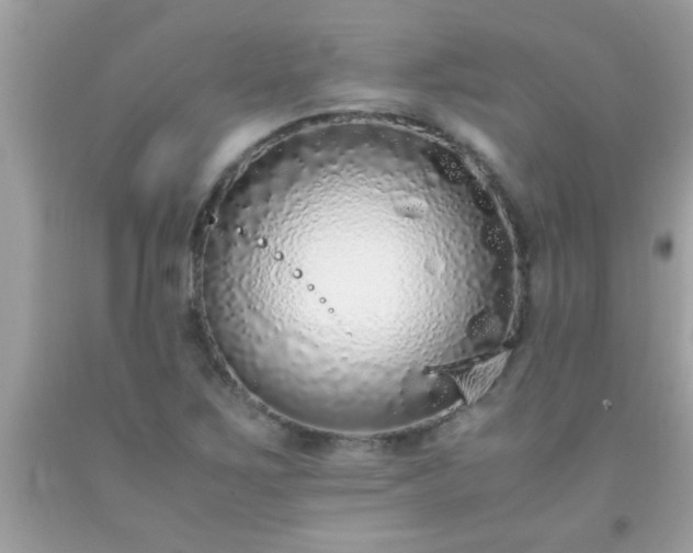 X0000093751267200710231225