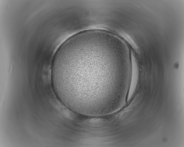 X0000093751268200710231225