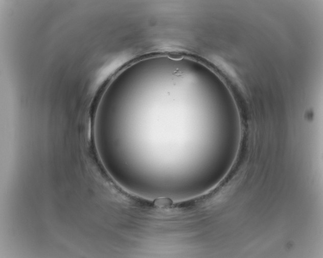 X0000093751269200710231225