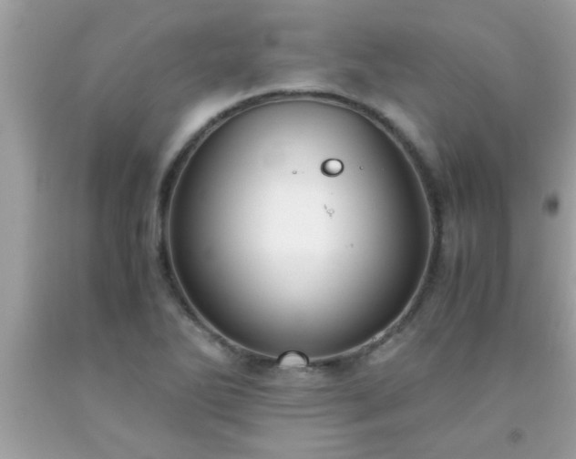 X0000093751270200710231225