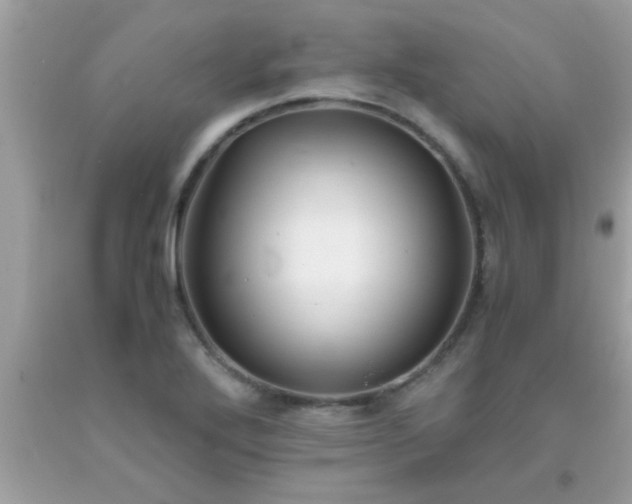 X0000093751272200710231225