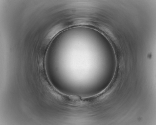 X0000093751273200710231225