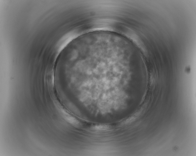 X0000093751274200710231225