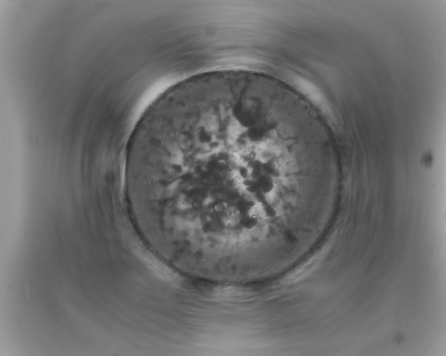 X0000093751275200710231225