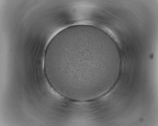 X0000093751276200710231225