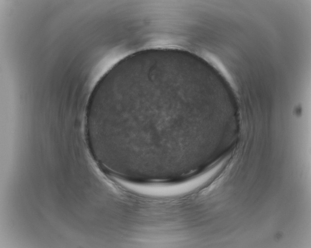 X0000093751277200710231225
