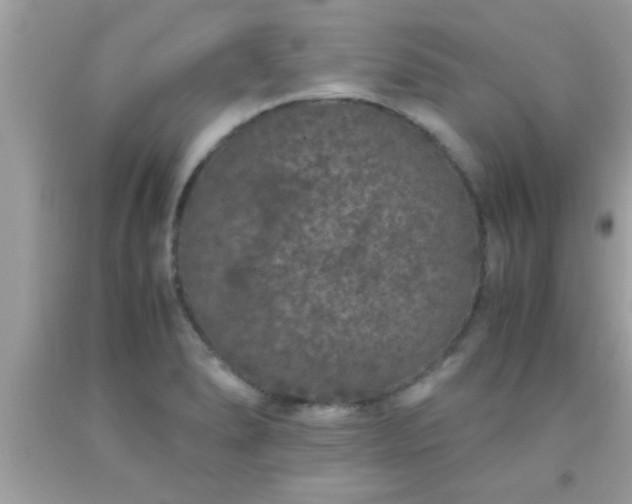 X0000093751278200710231225