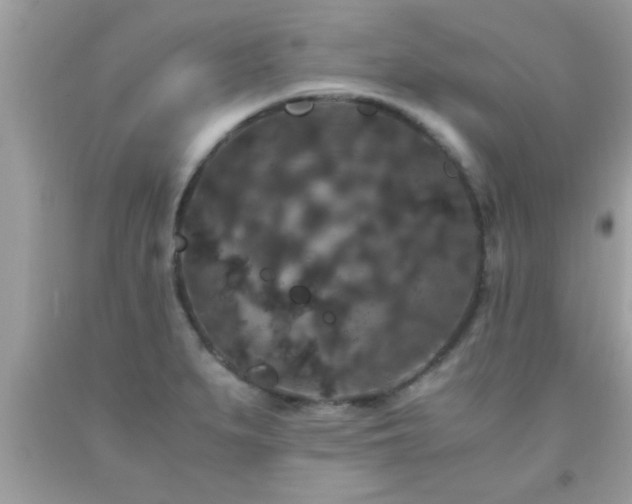 X0000093751279200710231225