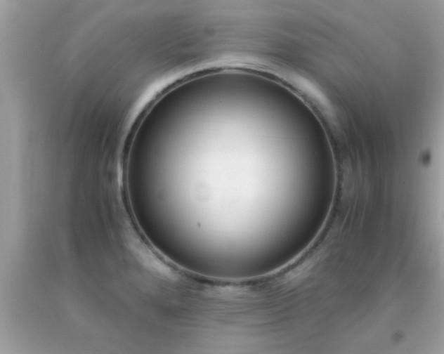 X0000093751280200710231225