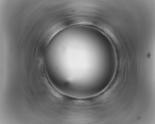 X0000093751281200710231225