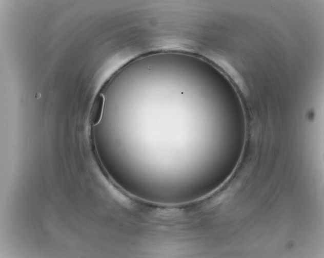 X0000093751285200710231224