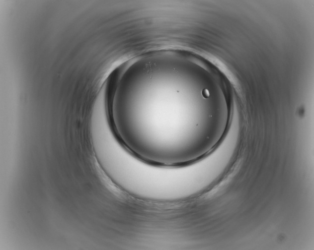 X0000093751289200710231224