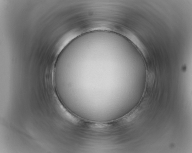 X0000093751290200710231224
