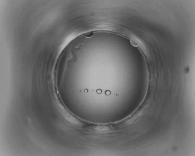 X0000093751291200710231224