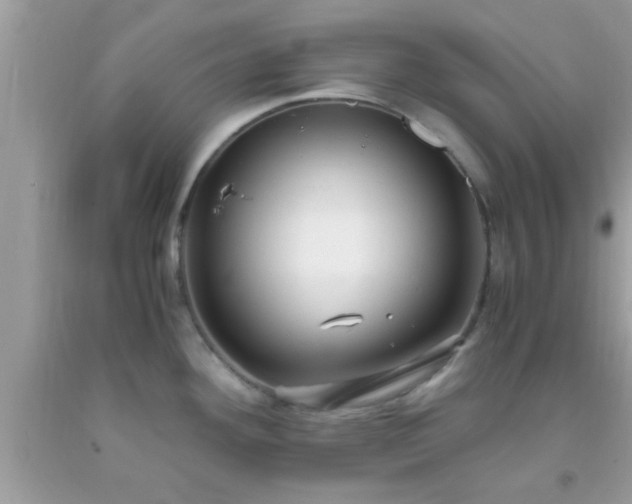 X0000093751292200710231224