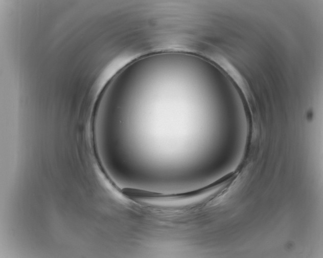 X0000093751293200710231224