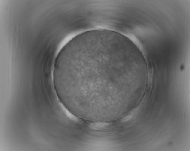 X0000093751294200710231224