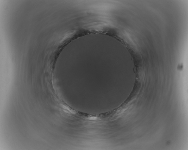 X0000093751297200710231224