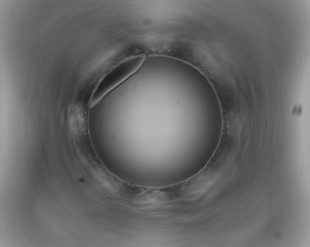 X0000093751298200710231224