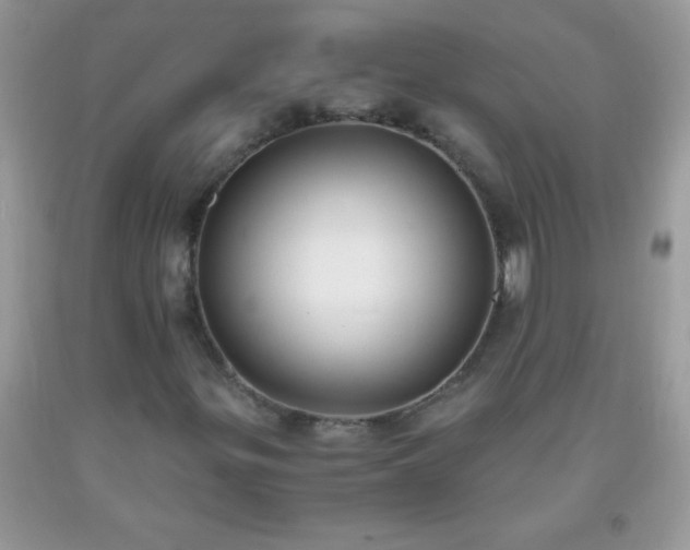 X0000093751299200710231224