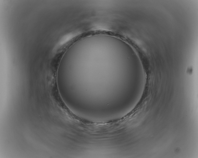 X0000093751303200710231224
