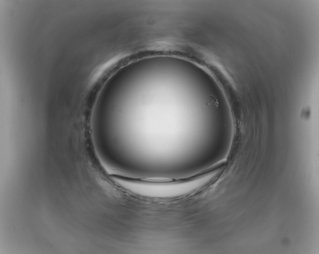 X0000093751304200710231224