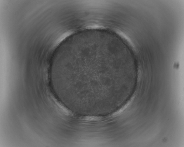 X0000093751305200710231224