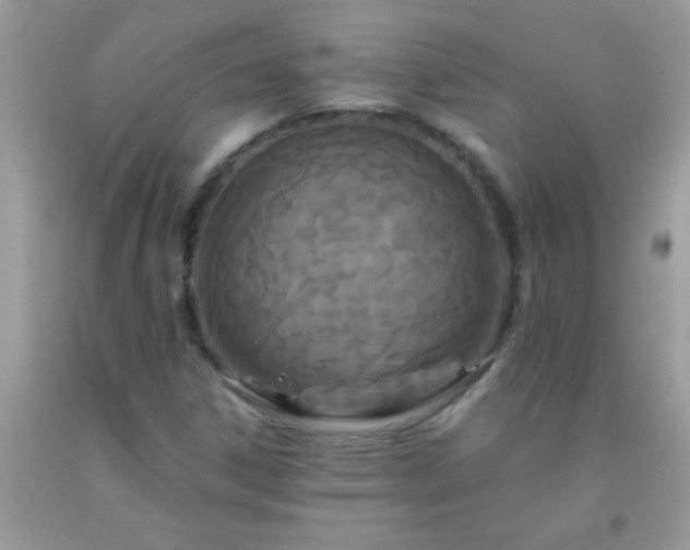 X0000093751306200710231224