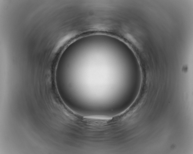 X0000093751307200710231224