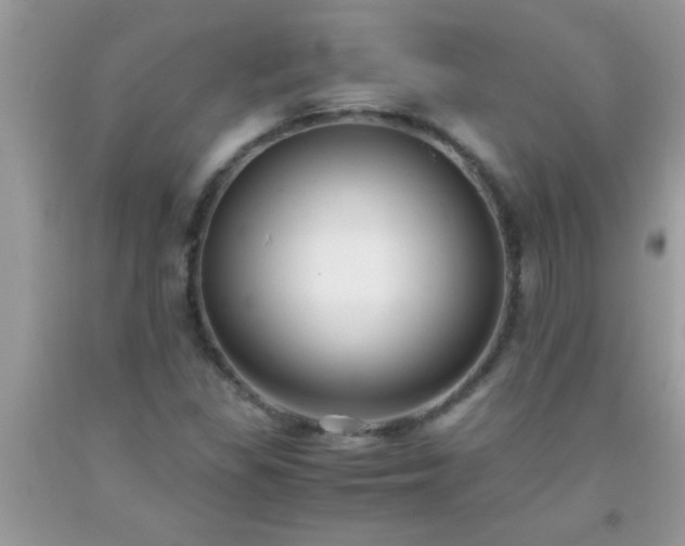 X0000093751309200710231224