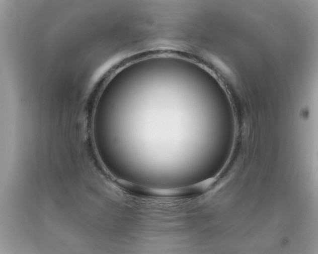 X0000093751310200710231224