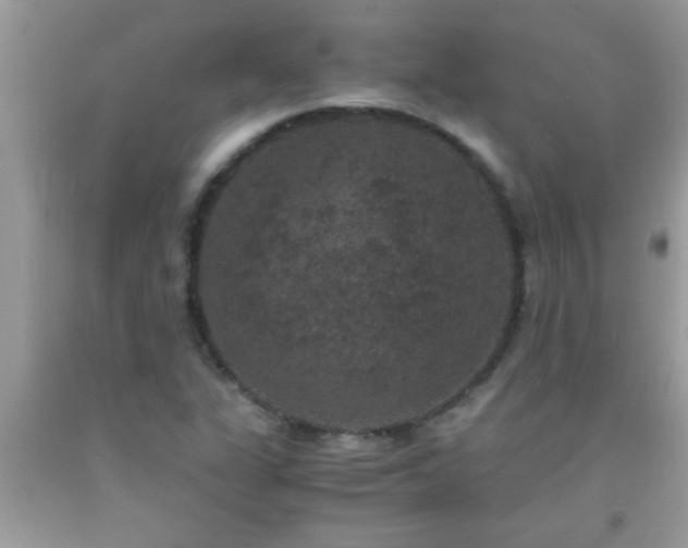 X0000093751311200710231224