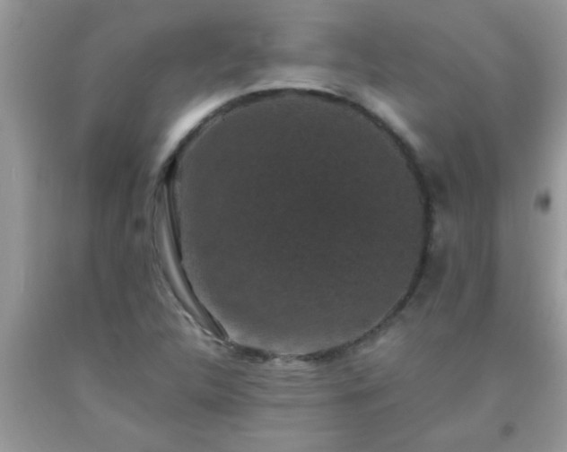 X0000093751312200710231224