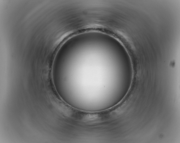 X0000093751313200710231224
