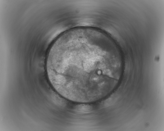 X0000093751314200710231224